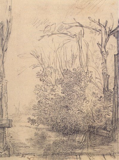 Overhanging Bushes on a Ditch by Rembrandt van Rijn